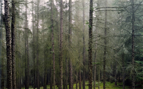 Yannick Demmerle, Sans Titre (Gewitter im Wald), 2004