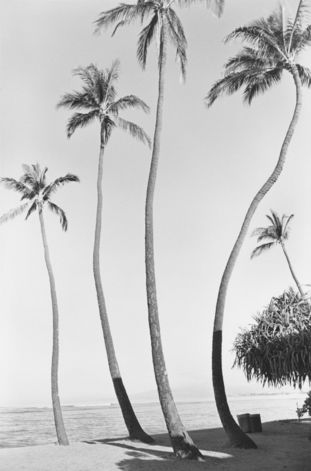 Henry Wessel, Waikiki No. 1, 1979 Henry Wessel, Waikiki No. 1, 1979