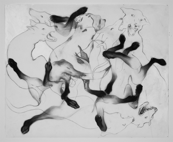 Anthony Goicolea, Entangled, 2011 Anthony Goicolea, Entangled, 2011