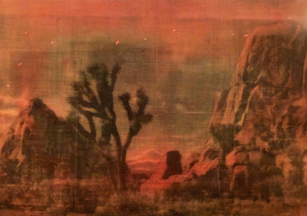 Ernesto Canovas, "Peyoteland", 2011 Ernesto Canovas, "Peyoteland", 2011