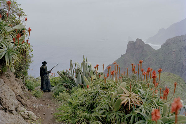 JULIAN ROSEFELDT, American Night, 2009