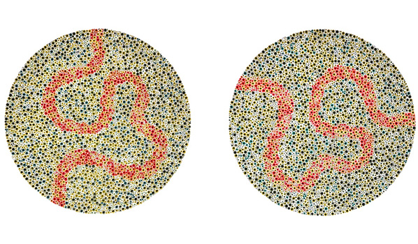 Stefana McClure, Colourblind Drawings: Ed & Eli, 2013 Stefana McClure, Colourblind Drawings: Ed & Eli, 2013