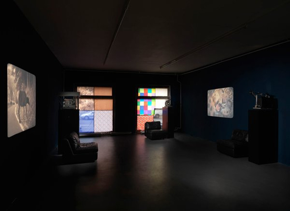 AMY GRANAT, COWFINGERS AND MOSQUITOPIE, 2012, exhibition view AMY GRANAT, COWFINGERS AND MOSQUITOPIE, 2012, exhibition view