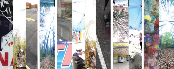 Ronit Eisenbach, Sharon Mansur & Aleksandra Vrebalov, In Situ: Exploring Sites-In-Transition