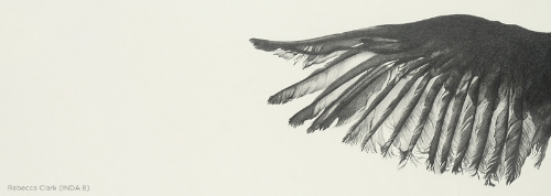 FLIGHT An Exhibit of Works Exploring Velocity and Flight seen by search engines