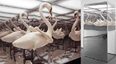 1.Naked Swan, 2006. 1.Naked Swan, 2006.