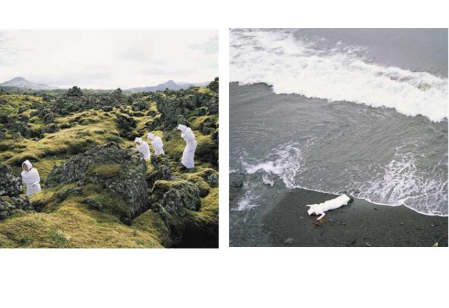 Where Do We Go From Here, series of 11 color photo Where Do We Go From Here, series of 11 color photo