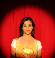 the interviews, digital video, 2005