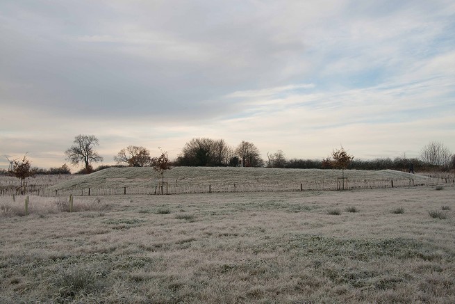 now & then .Earth, Oak trees, bushes.60m x 6m now & then .<br class=