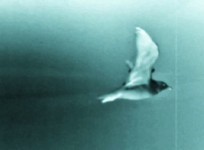 From A to B (2014) From A to B (2014)