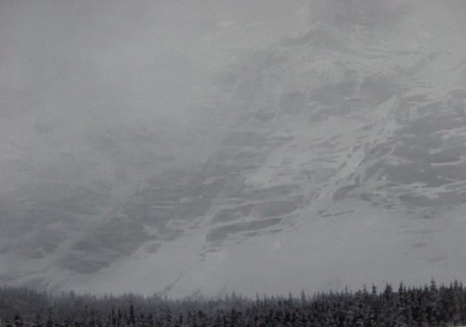 Lifelessness Is Only A Disguise   2010  Oil on Canvas  45 cm x 70 cm<br class=