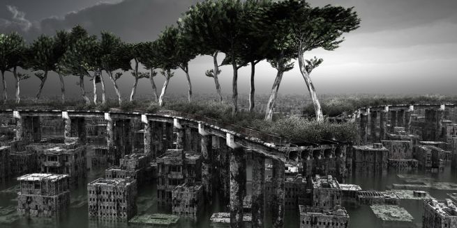 Giacomo Costa,  Plant 3, 2010<br class=