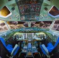 Screen oil on linen, 155 x 160 cm, 2005 Screen oil on linen, 155 x 160 cm, 2005