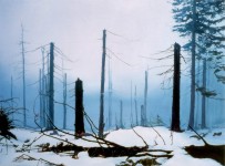 Zone oil on linen, 142 x 193 cm 2001 Zone oil on linen, 142 x 193 cm 2001