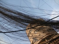 for a long time your only entertainment for a long time your only entertainment