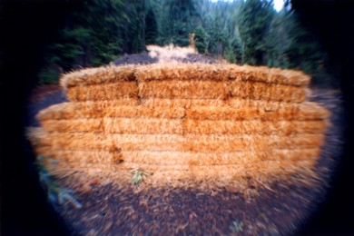 Transitory Space Series (Pool House) Transitory Space Series (Pool House)