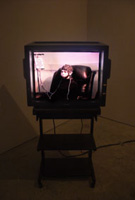 Headbang (installation shot)