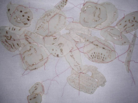 Absence/ Presence �Ula Einstein