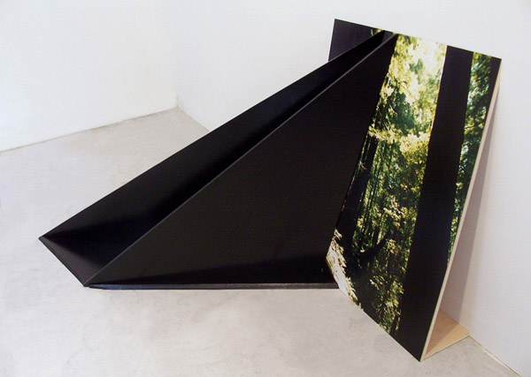 The Last Words of John Muir / Occams Razor, 2007<br/>C-print, wood, paint<br/>28 inches x 45 inches x 38 inches<br/>