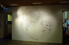 Unfurling, 2008. Nordic Museum of Drawing