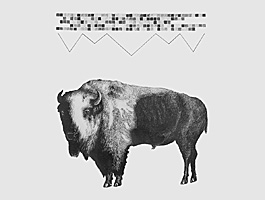 Buffalo Under Stars, graphite on paper, 32 x 40 Buffalo Under Stars, graphite on paper, 32 x 40