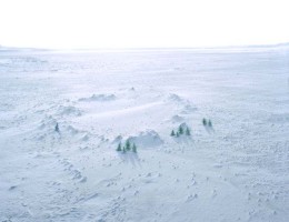 Tannen Krater, 2004 * 47 x 59 in. Tannen Krater, 2004 * 47 x 59 in.