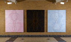 <b><i>Buxton Between the Lines</i></b> Buxton M&G 2013