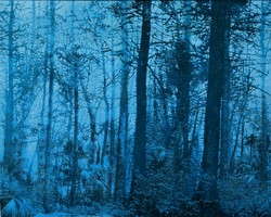 even now, mm/canvas, 16" x 20"