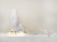 The White House Is Not White 2010